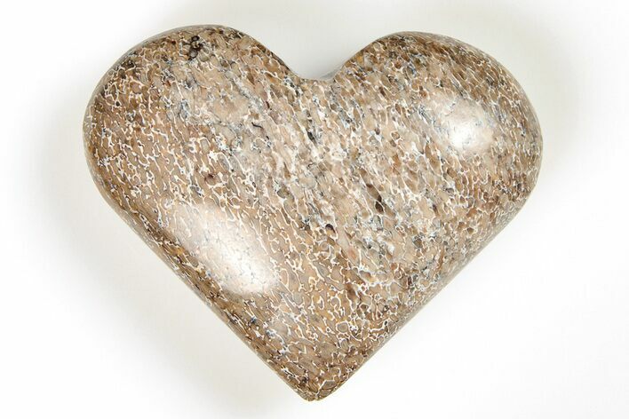 2.4" Polished Dinosaur Bone (Gembone) Heart - Morocco